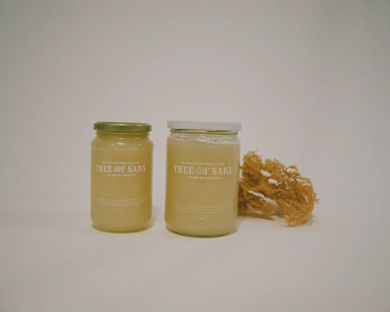 Get Familiar: Tree Of Saba - Patta